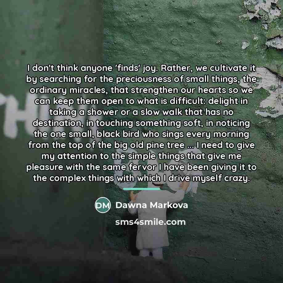 “I don't think anyone 'finds' joy. Rather, we cultivate it…” quote by Dawna Markova
