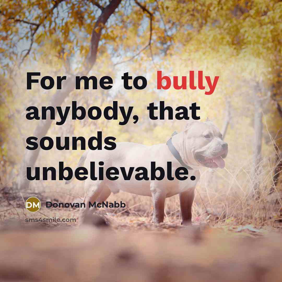 “For me to bully anybody, that sounds unbelievable.…” quote by Donovan McNabb