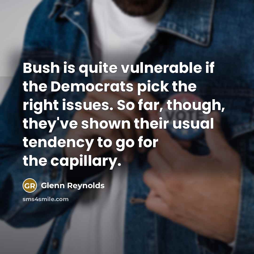 “Bush is quite vulnerable if the Democrats pick the right…” quote by Glenn Reynolds