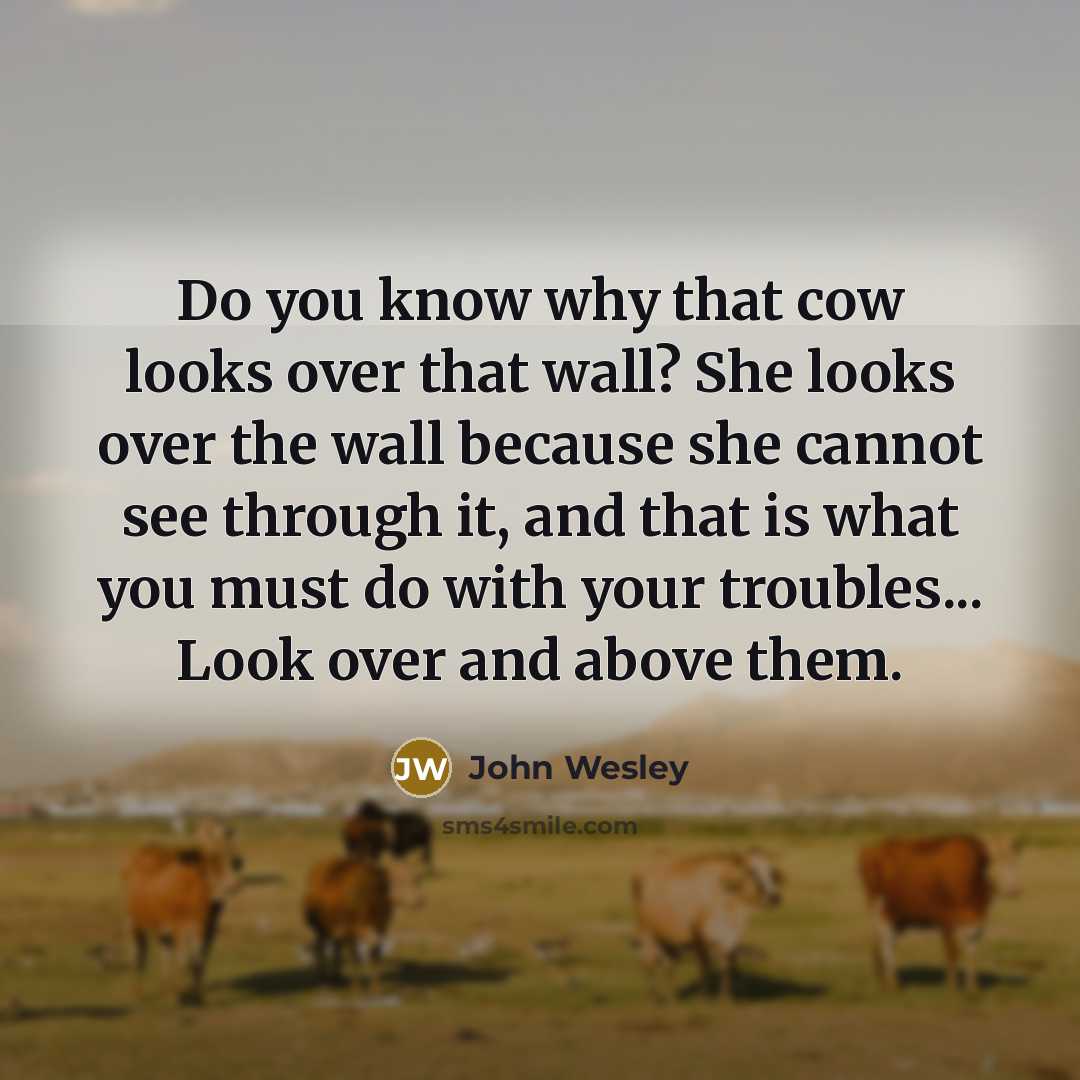 “Do you know why that cow looks over that wall?…” quote by John Wesley