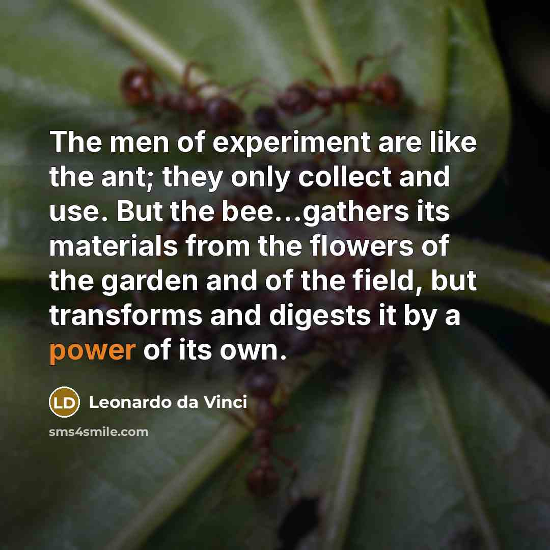 “The men of experiment are like the ant; they only…” quote by Leonardo da Vinci