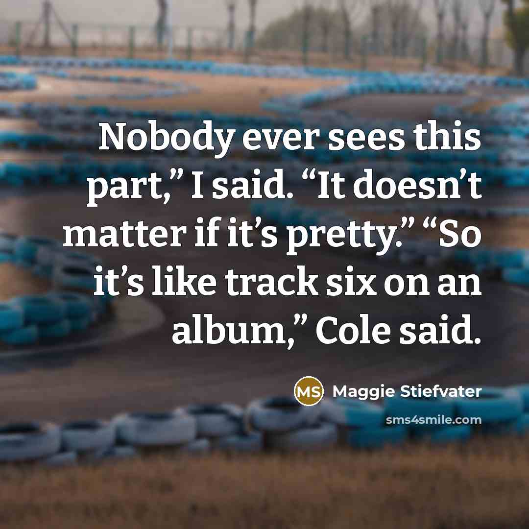 “Nobody ever sees this part,” I said. “It doesn’t matter…” quote by Maggie Stiefvater
