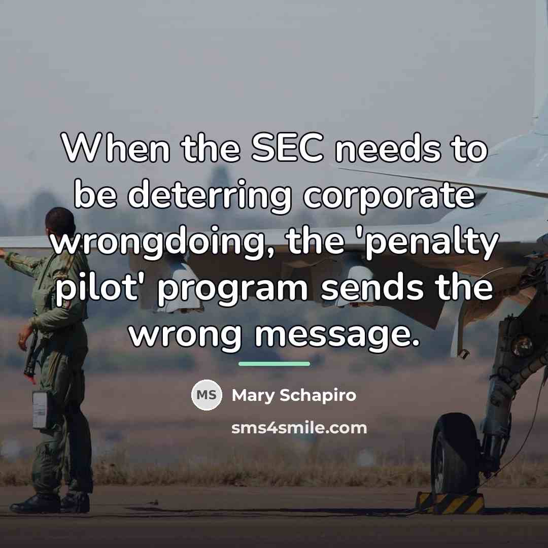 “When the SEC needs to be deterring corporate wrongdoing, the…” quote by Mary Schapiro