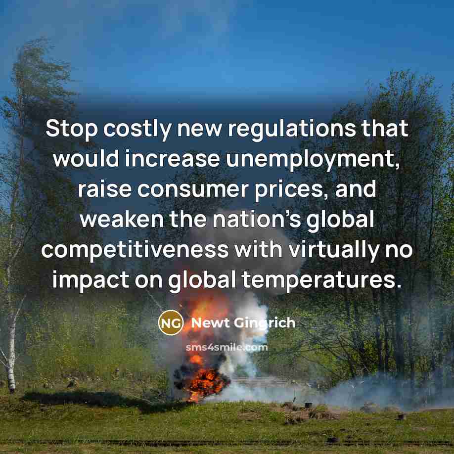 “Stop costly new regulations that would increase unemployment, raise consumer…” quote by Newt Gingrich