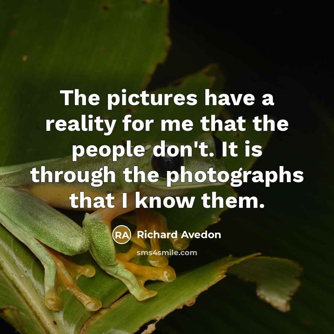 “The pictures have a reality for me that the people…” quote by Richard Avedon