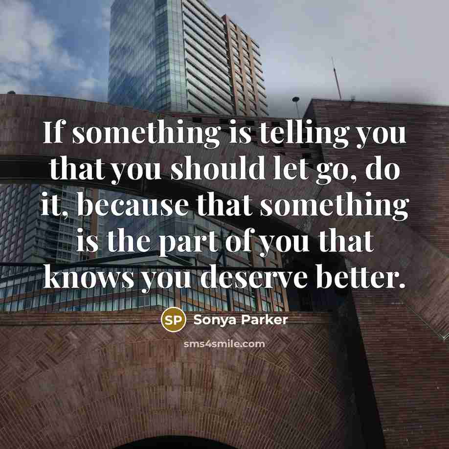 “If something is telling you that you should let go,…” quote by Sonya Parker