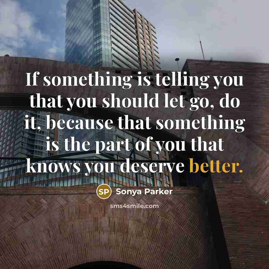 “If something is telling you that you should let go, do it, because that something is the part of you that knows you deserve better.” quote by Sonya Parker
