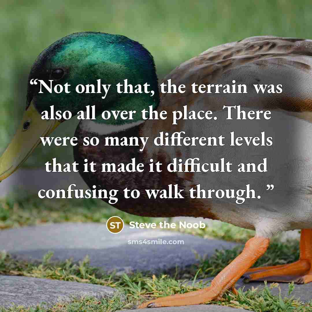 “Not only that, the terrain was also all over the place. There were so many different levels that it made it difficult and confusing to walk through.” quote by Steve the Noob