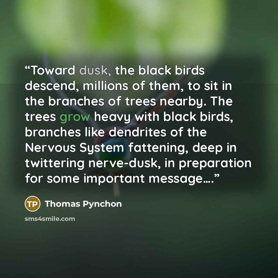 “Toward dusk, the black birds descend, millions of them, to sit in the branches of trees nearby. The trees grow heavy with black birds, branches like dendrites of the Nervous System fattening, deep in twittering nerve-dusk, in preparation for some important message….” quote by Thomas Pynchon