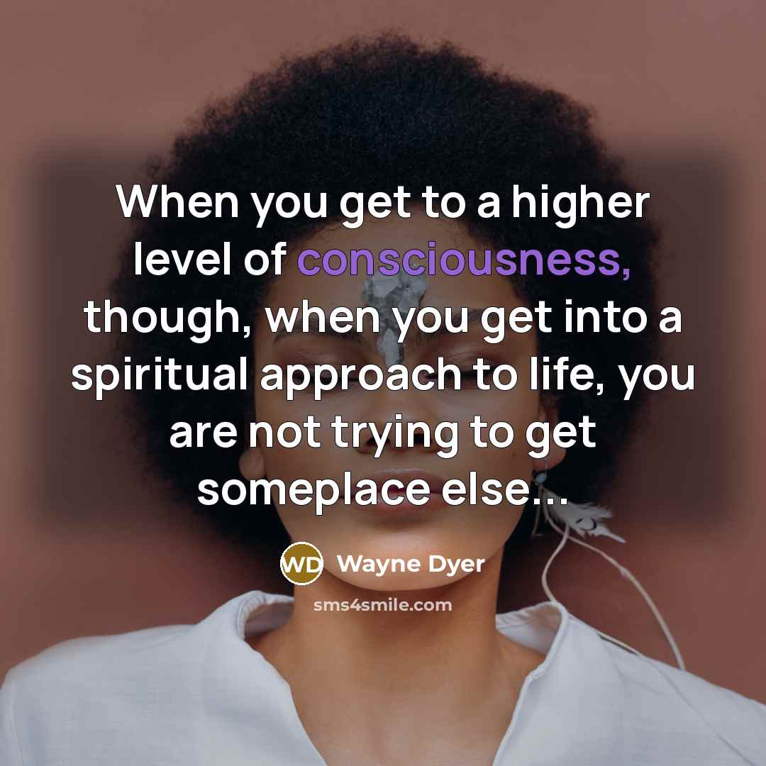 “When you get to a higher level of consciousness, though,…” quote by Wayne Dyer