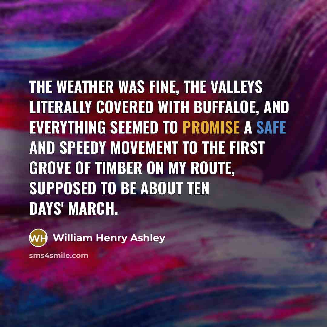 “The weather was fine, the valleys literally covered with buffaloe,…” quote by William Henry Ashley
