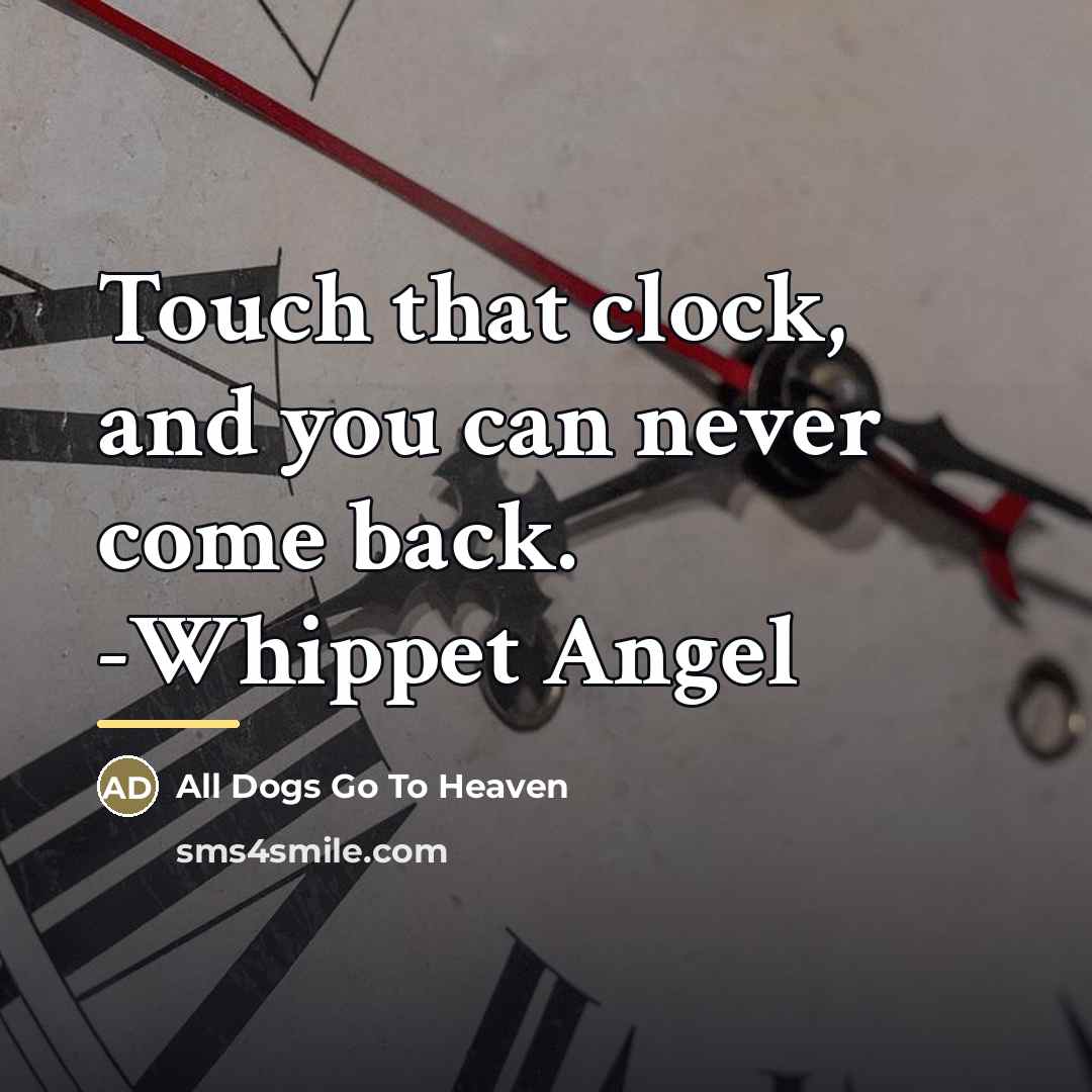 “Touch that clock, and you can never come back. -Whippet…” quote by All Dogs Go To Heaven