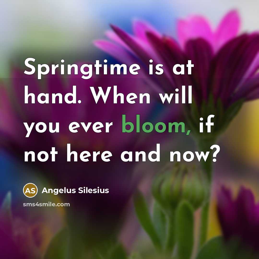 “Springtime is at hand. When will you ever bloom, if not here and now?” quote by Angelus Silesius