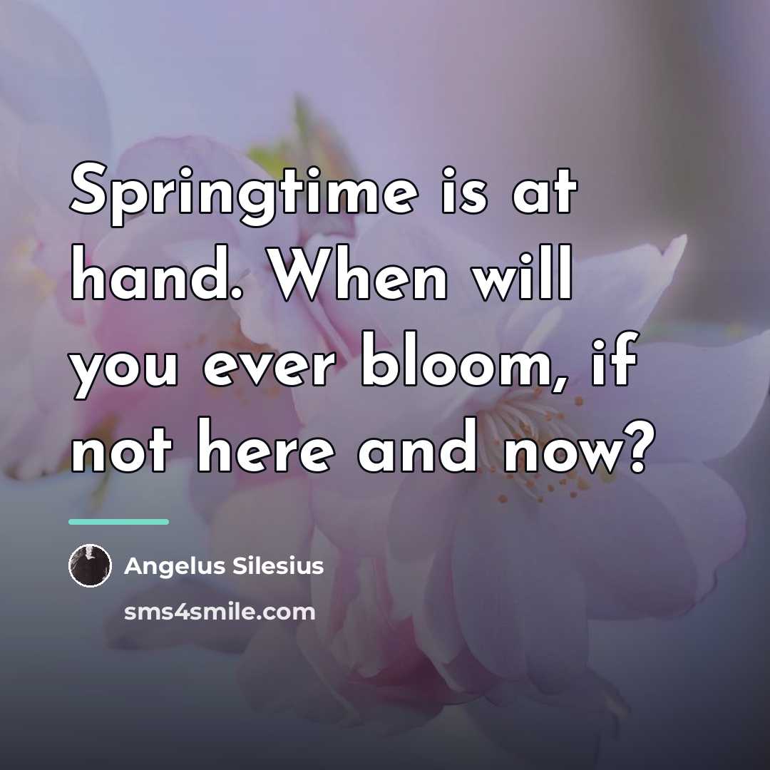 “Springtime is at hand. When will you ever bloom, if…” quote by Angelus Silesius