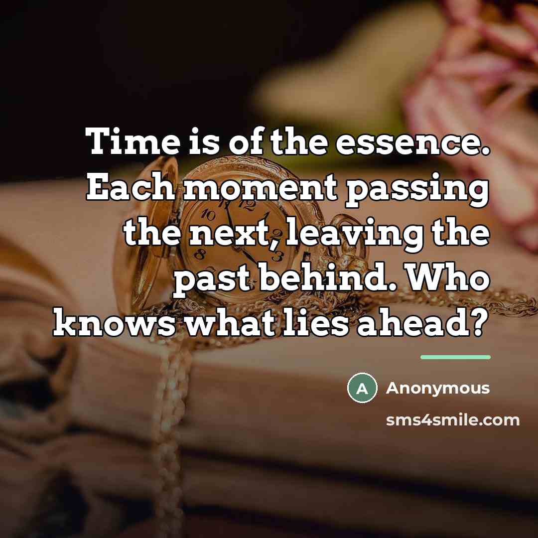 “Time is of the essence. Each moment passing the next,…” quote by Anonymous