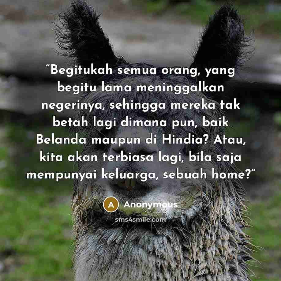 “Begitukah semua orang, yang begitu lama meninggalkan negerinya, sehingga mereka tak betah lagi dimana pun, baik Belanda maupun di Hindia? Atau, kita akan terbiasa lagi, bila saja mempunyai keluarga, sebuah home?” quote by Anonymous