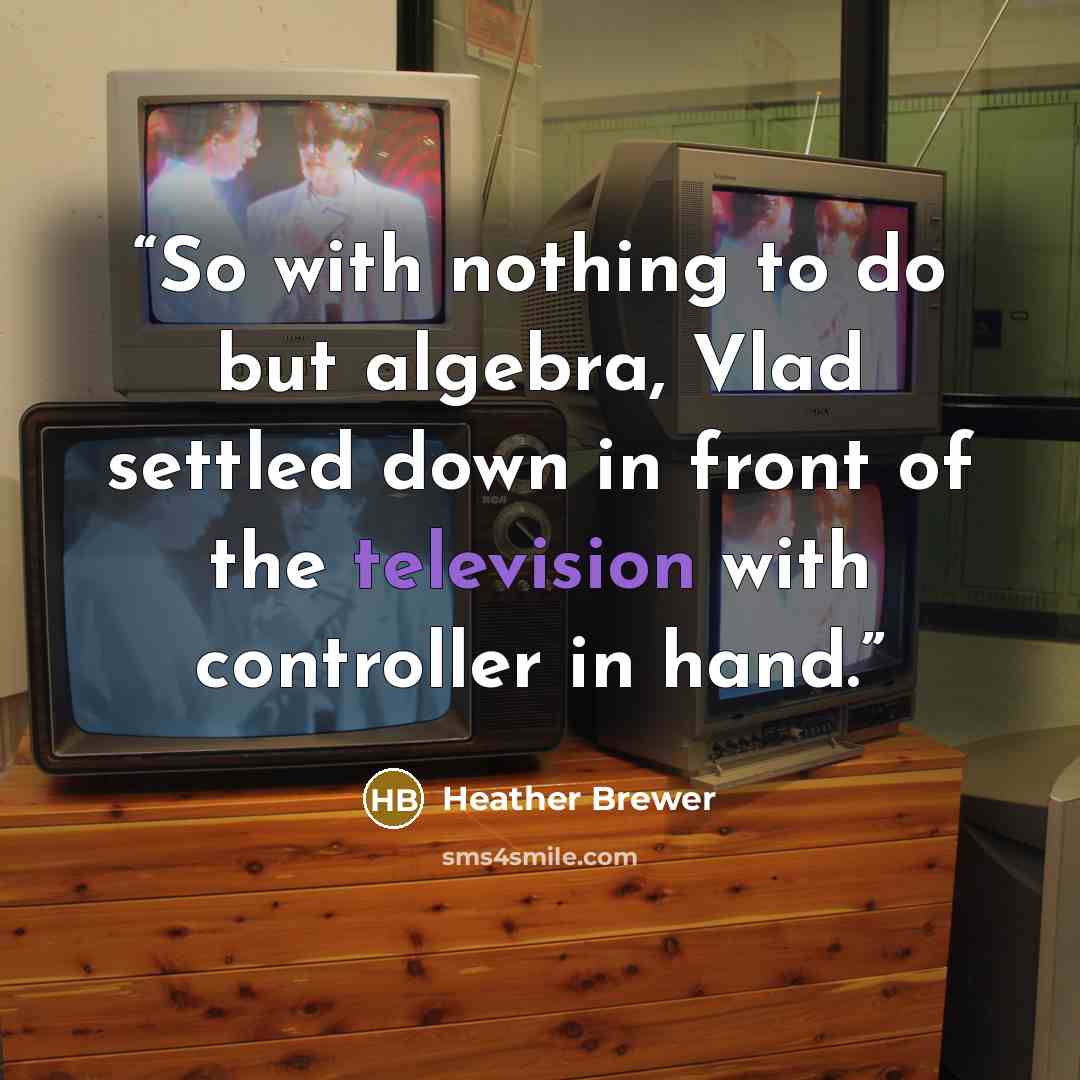 “So with nothing to do but algebra, Vlad settled down in front of the television with controller in hand.” quote by Heather Brewer
