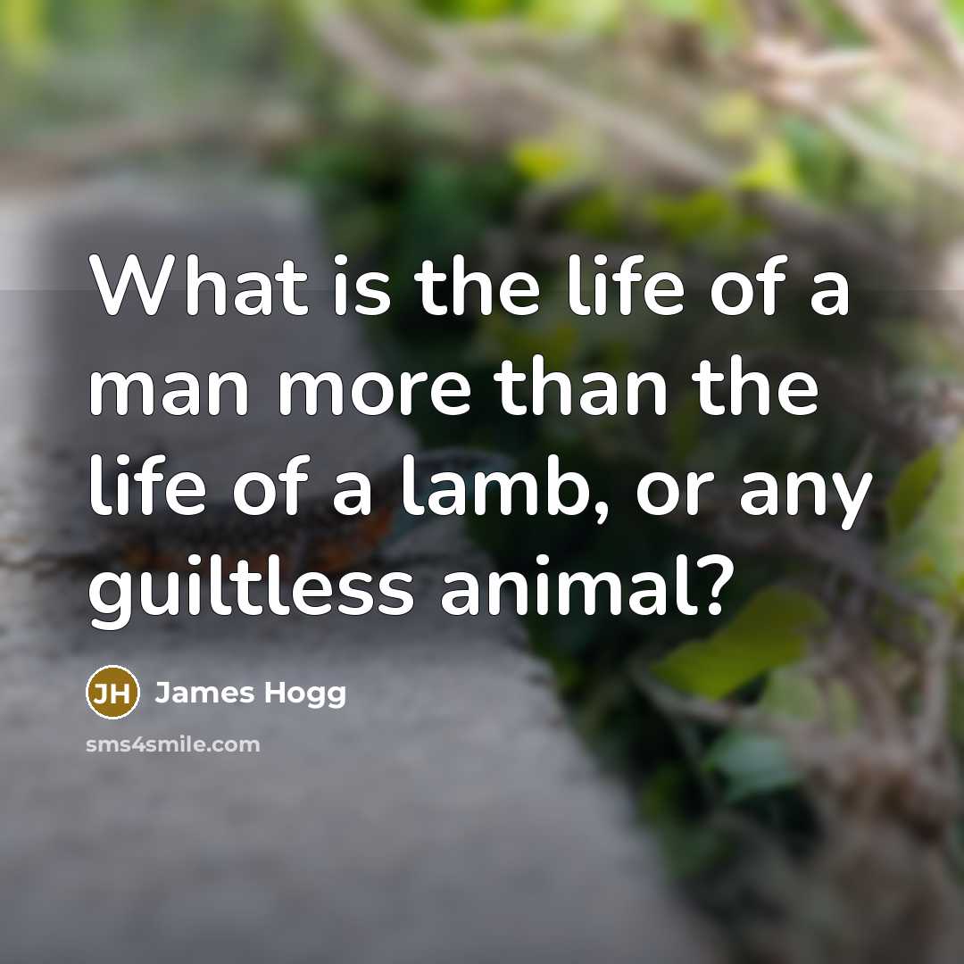 “What is the life of a man more than the…” quote by James Hogg