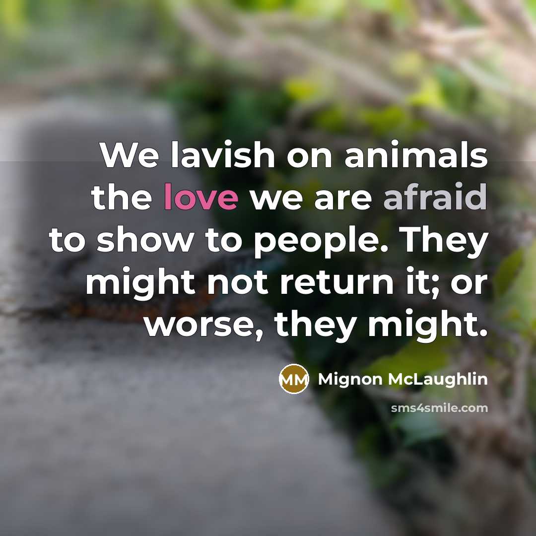 “We lavish on animals the love we are afraid to show to people. They might not return it; or worse, they might.” quote by Mignon McLaughlin