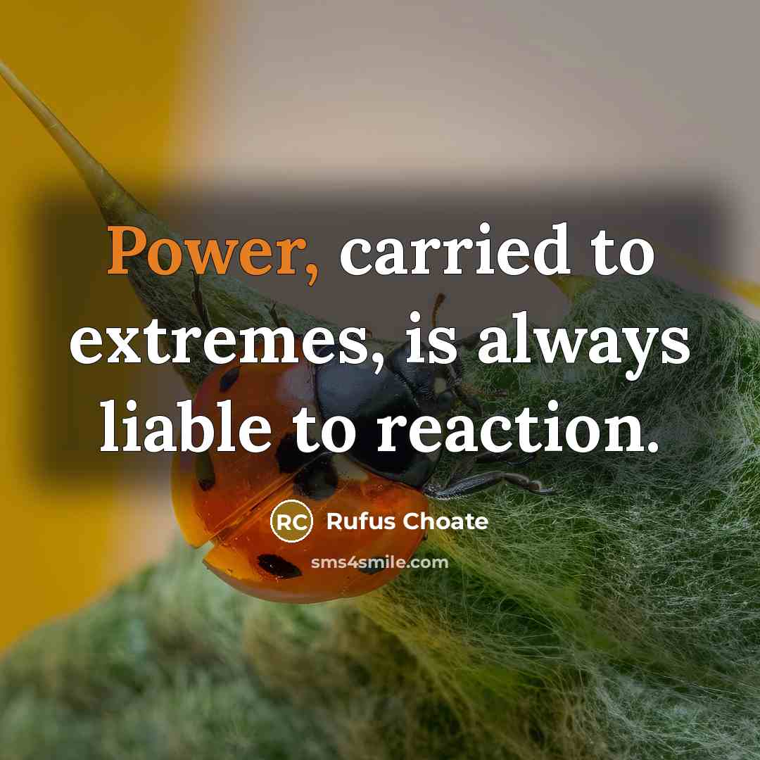 “Power, carried to extremes, is always liable to reaction.…” quote by Rufus Choate