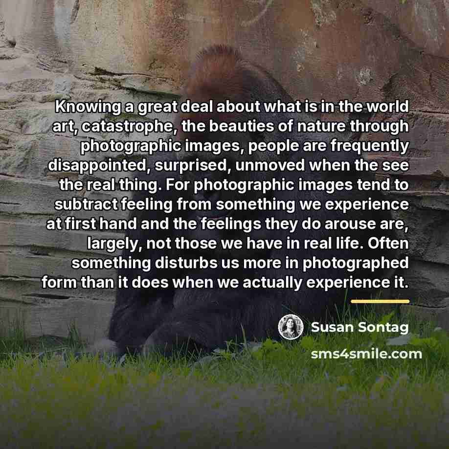 “Knowing a great deal about what is in the world…” quote by Susan Sontag