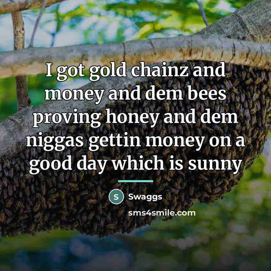 “I got gold chainz and money and dem bees proving…” quote by Swaggs