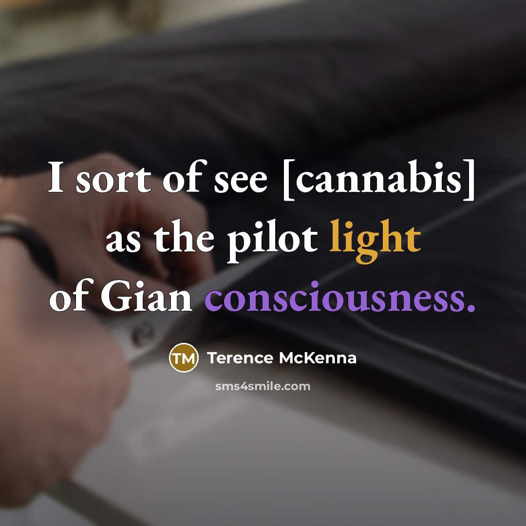 “I sort of see [cannabis] as the pilot light of…” quote by Terence McKenna