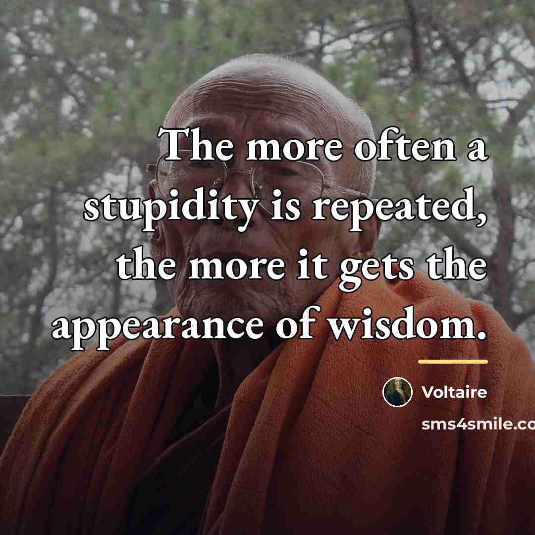 “The more often a stupidity is repeated, the more it…” quote by Voltaire