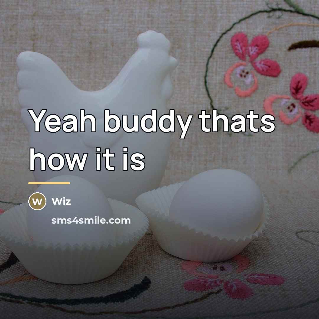 “Yeah buddy thats how it is…” quote by Wiz