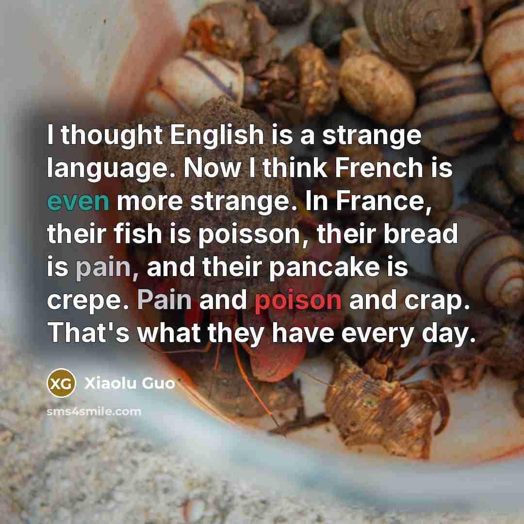 “I thought English is a strange language. Now I think…” quote by Xiaolu Guo