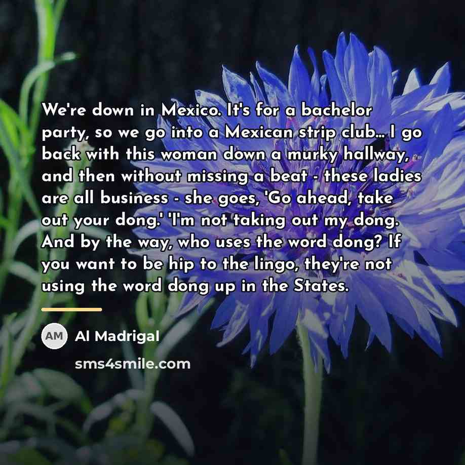 “We're down in Mexico. It's for a bachelor party, so…” quote by Al Madrigal
