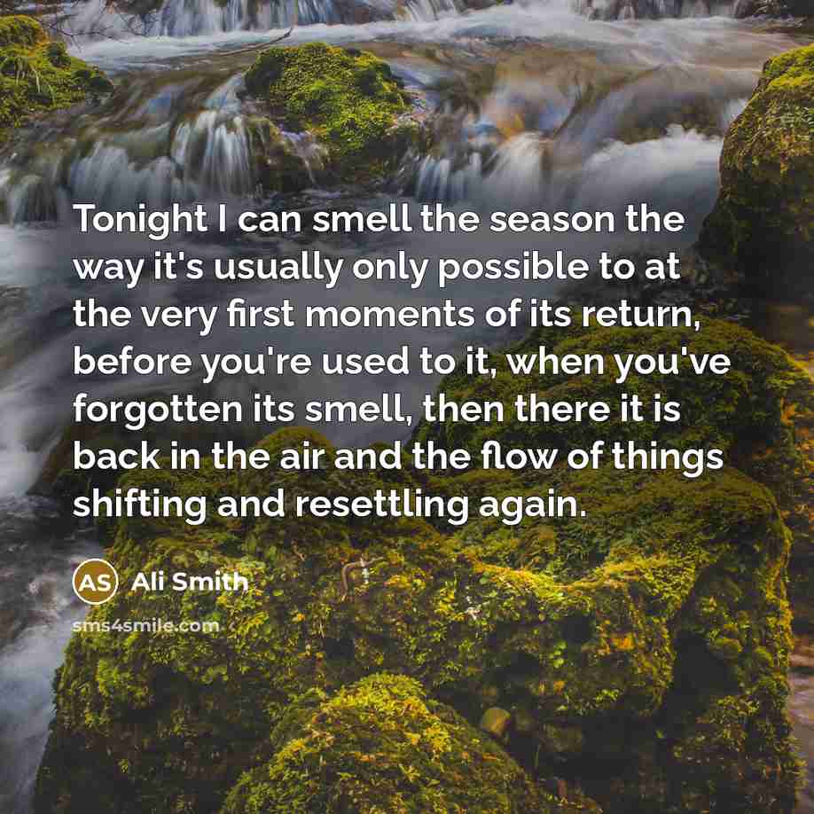 “Tonight I can smell the season the way it's usually…” quote by Ali Smith