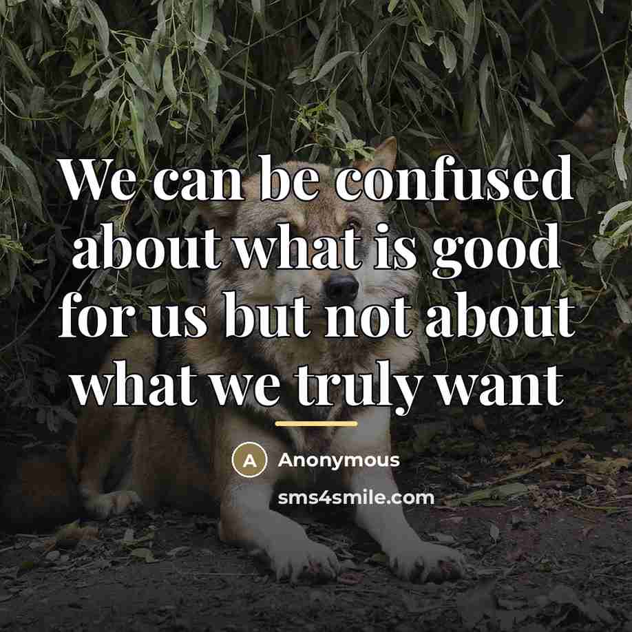 “We can be confused about what is good for us…” quote by Anonymous