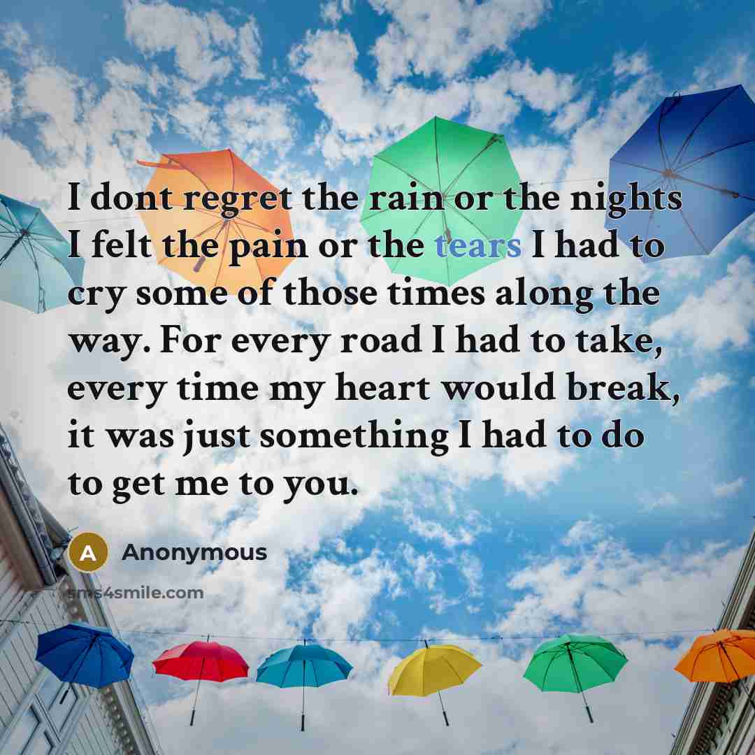 “I dont regret the rain or the nights I felt the pain or the tears I had to cry some of those times along the way. For every road I had to take, every time my heart would break, it was just something I had to do to get me to you.” quote by Anonymous