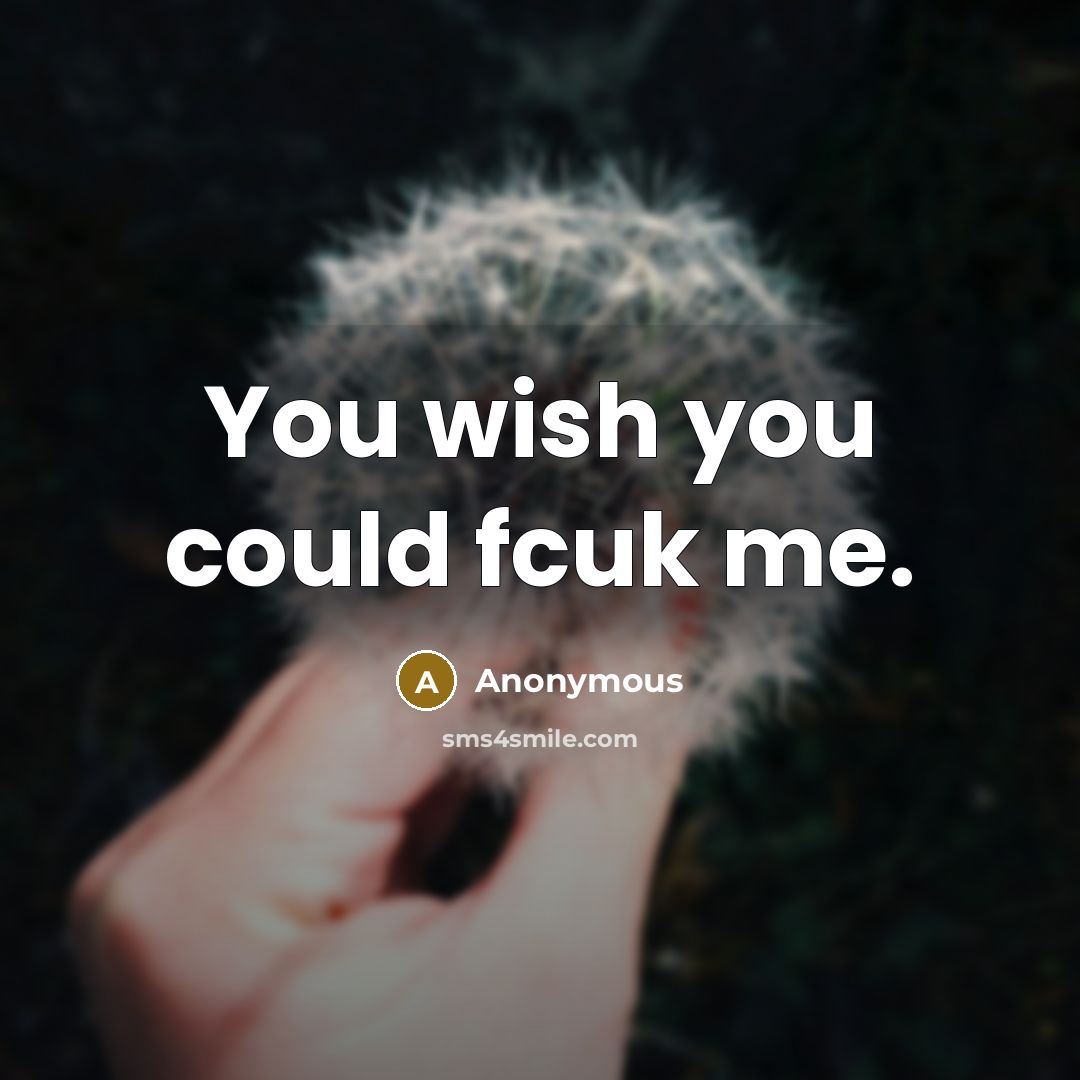 “You wish you could fcuk me.…” quote by Anonymous