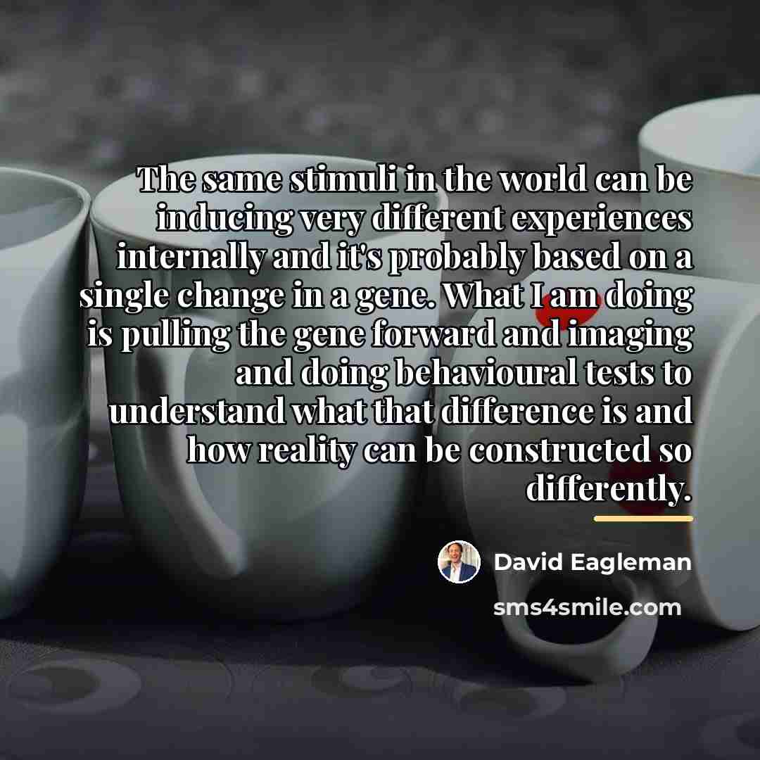 “The same stimuli in the world can be inducing very…” quote by David Eagleman