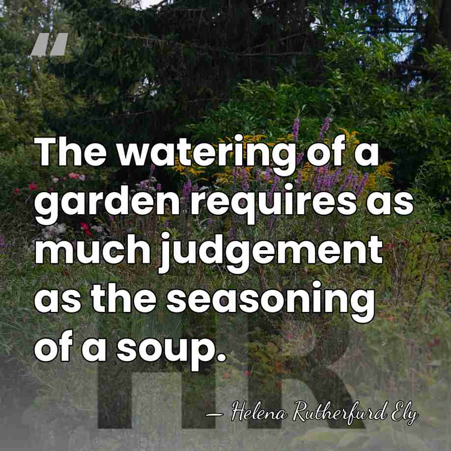 The watering of a garden requires as much judgement as the seasoning&hellip; - Helena Rutherfurd Ely
