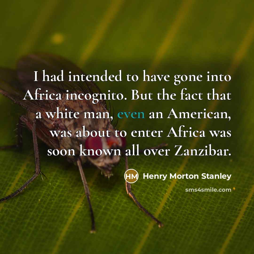 “I had intended to have gone into Africa incognito. But…” quote by Henry Morton Stanley