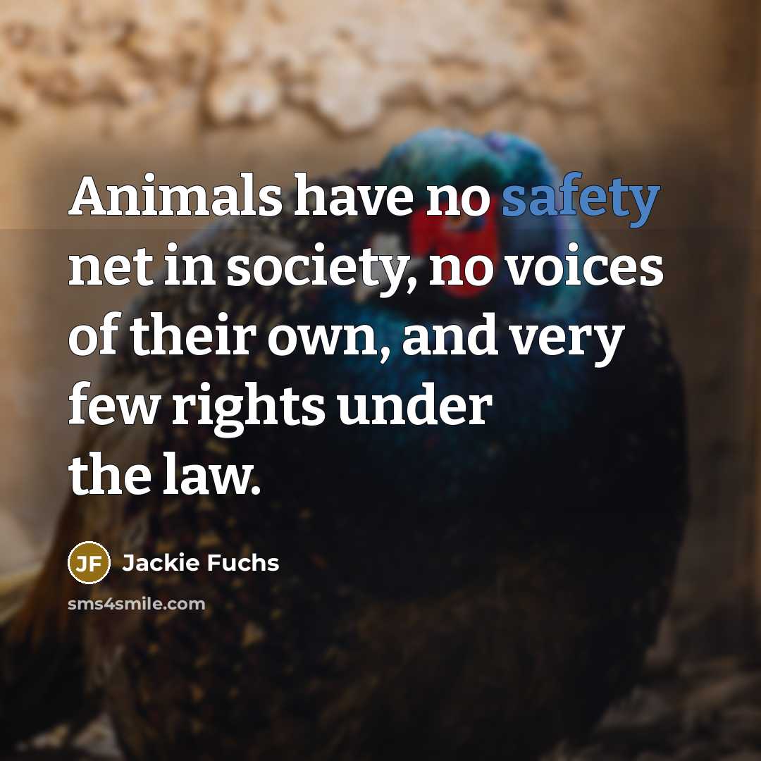 “Animals have no safety net in society, no voices of their own, and very few rights under the law.” quote by Jackie Fuchs