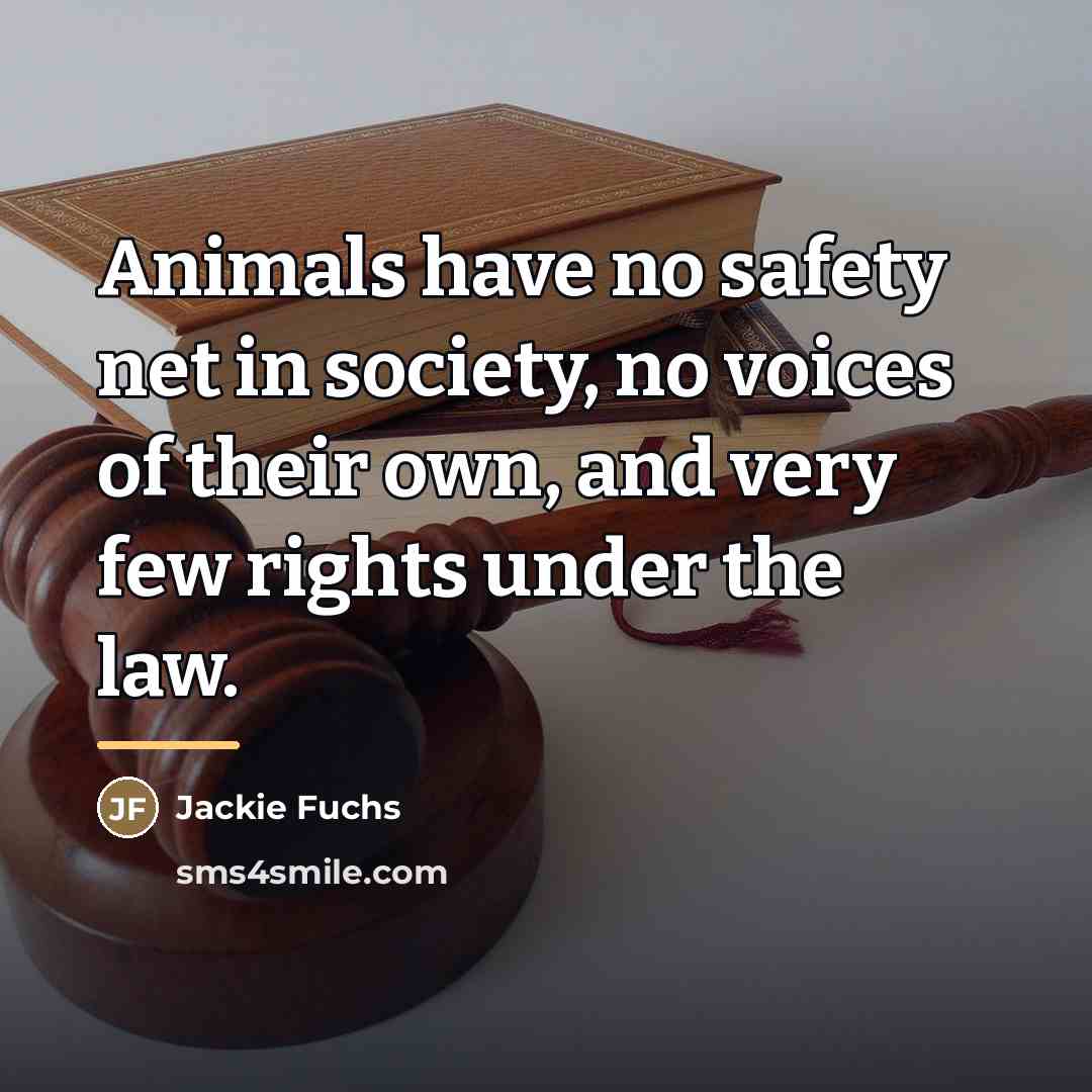 “Animals have no safety net in society, no voices of…” quote by Jackie Fuchs