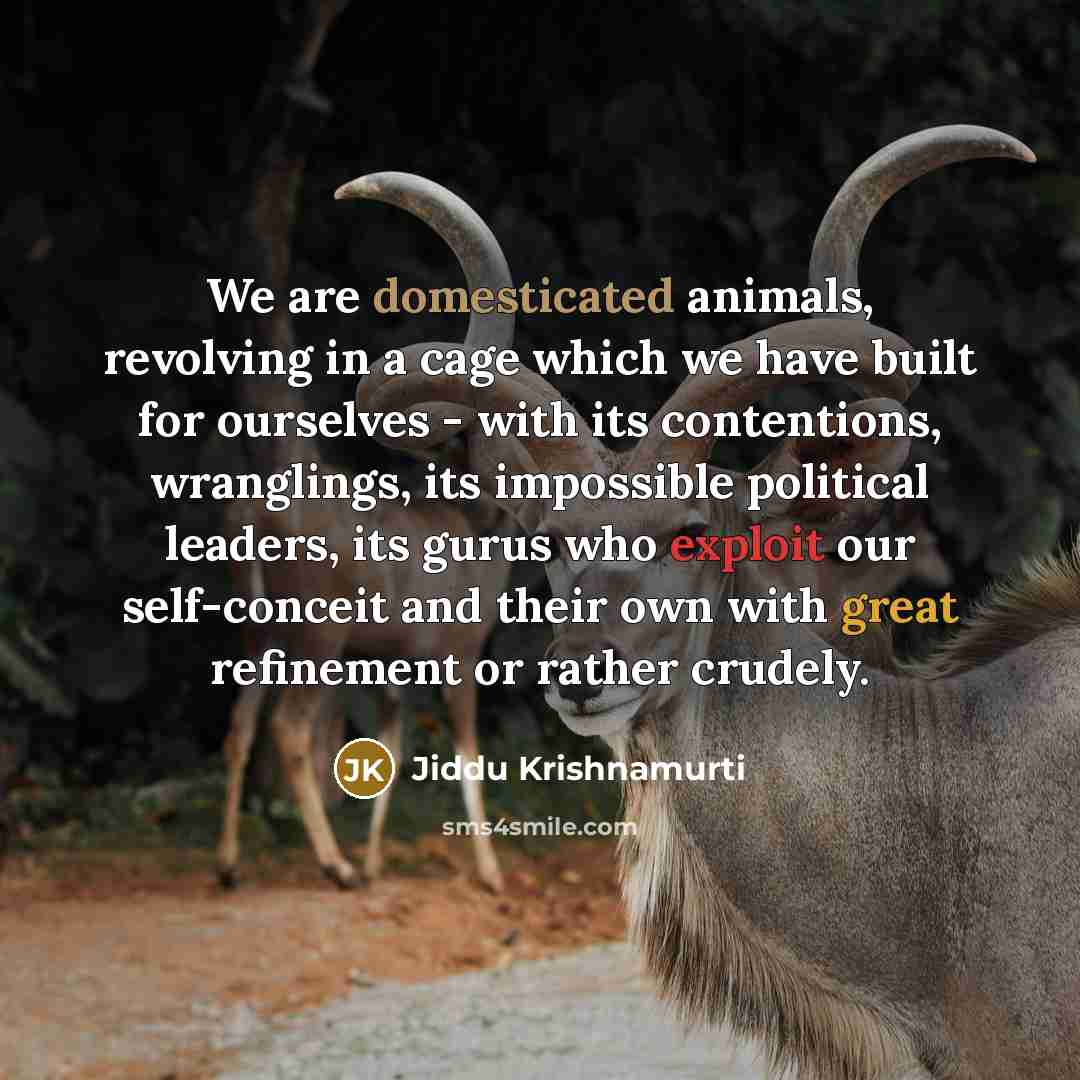 “We are domesticated animals, revolving in a cage which we have built for ourselves - with its contentions, wranglings, its impossible political leaders, its gurus who exploit our self-conceit and their own with great refinement or rather crudely.” quote by Jiddu Krishnamurti