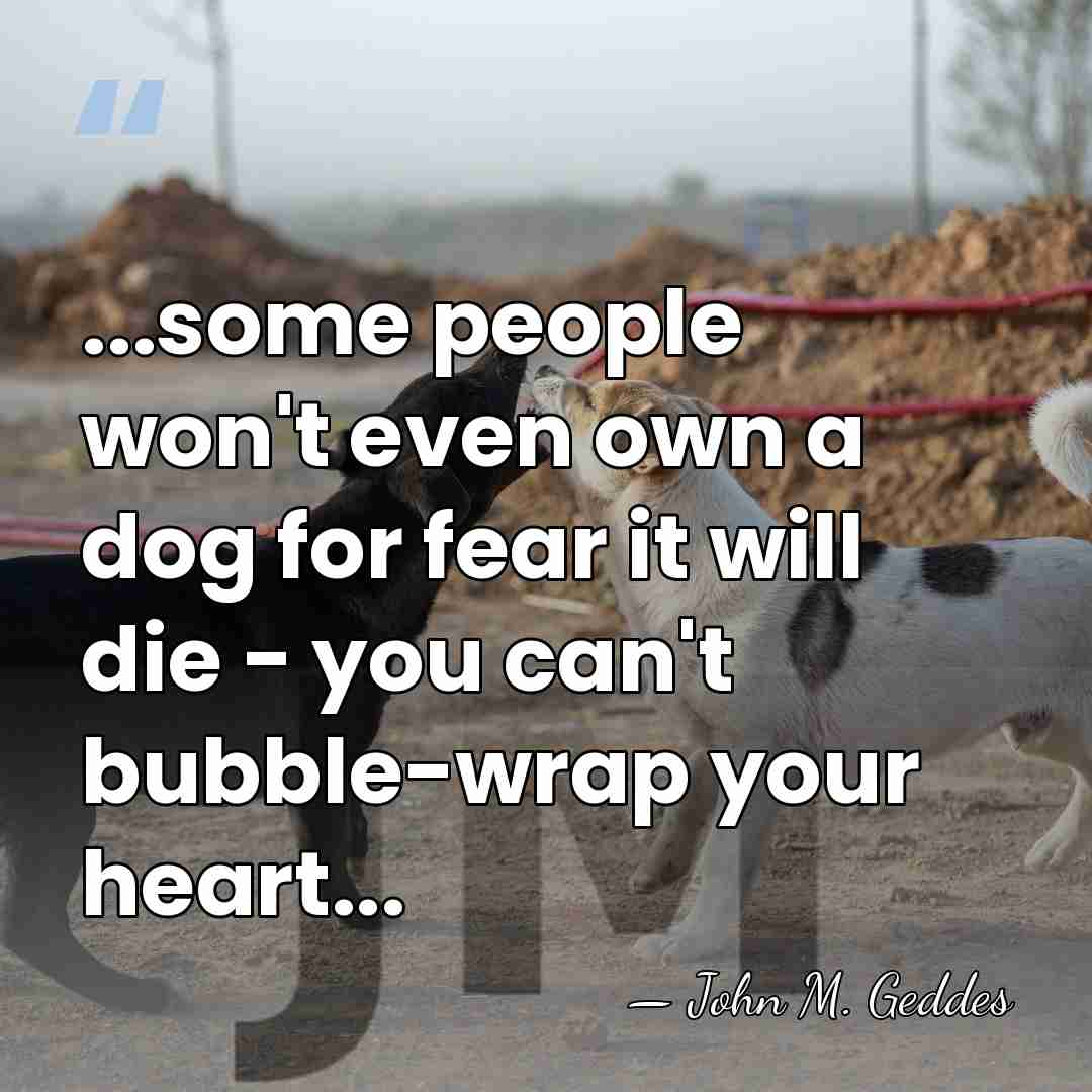 ...some people won't even own a dog for fear it will die&hellip; - John M. Geddes