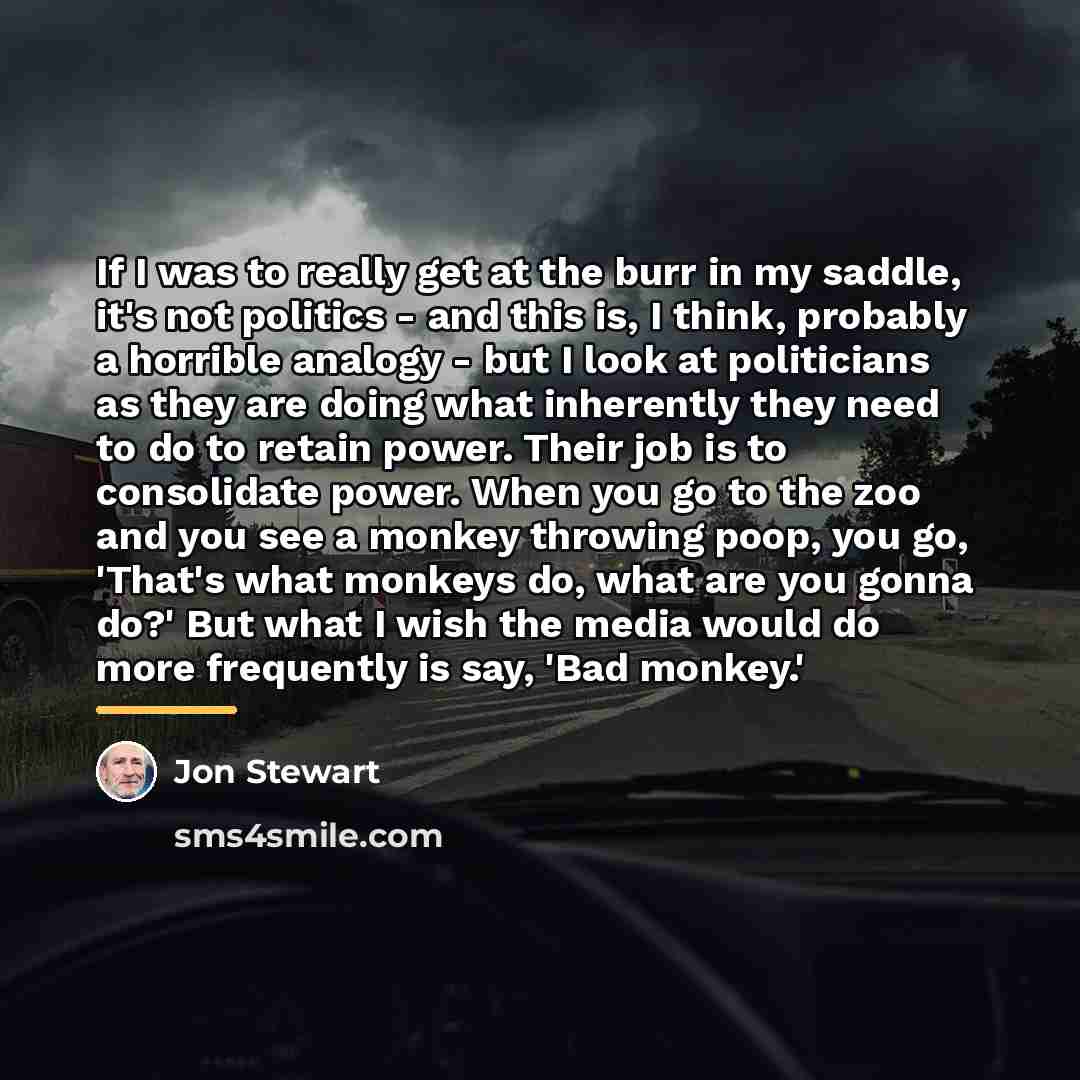 “If I was to really get at the burr in…” quote by Jon Stewart