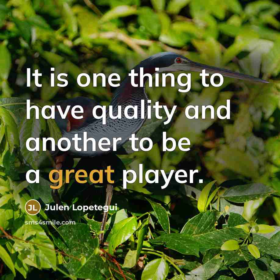 “It is one thing to have quality and another to…” quote by Julen Lopetegui