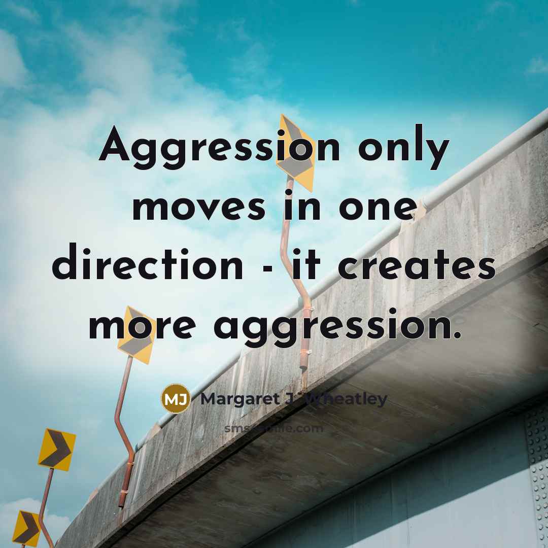 “Aggression only moves in one direction - it creates more…” quote by Margaret J. Wheatley