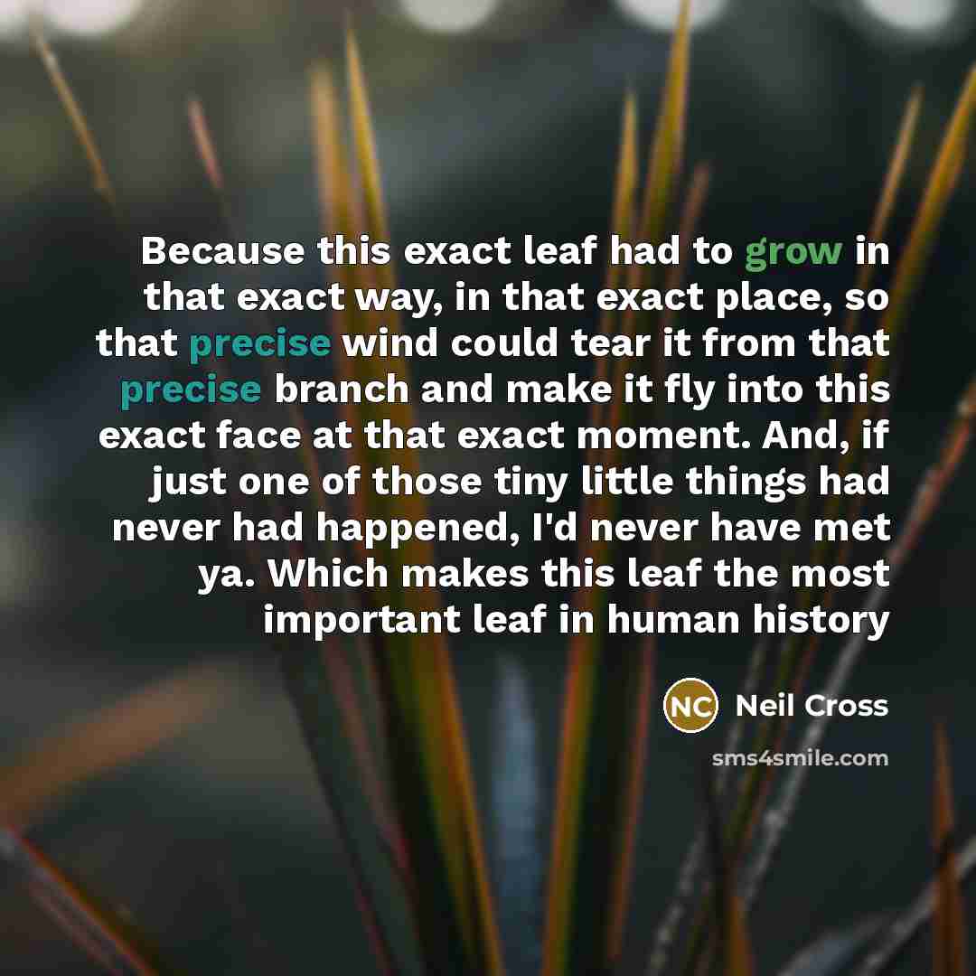 “Because this exact leaf had to grow in that exact…” quote by Neil Cross