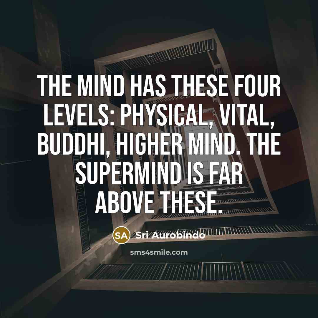 “The mind has these four levels: physical, vital, buddhi, higher…” quote by Sri Aurobindo