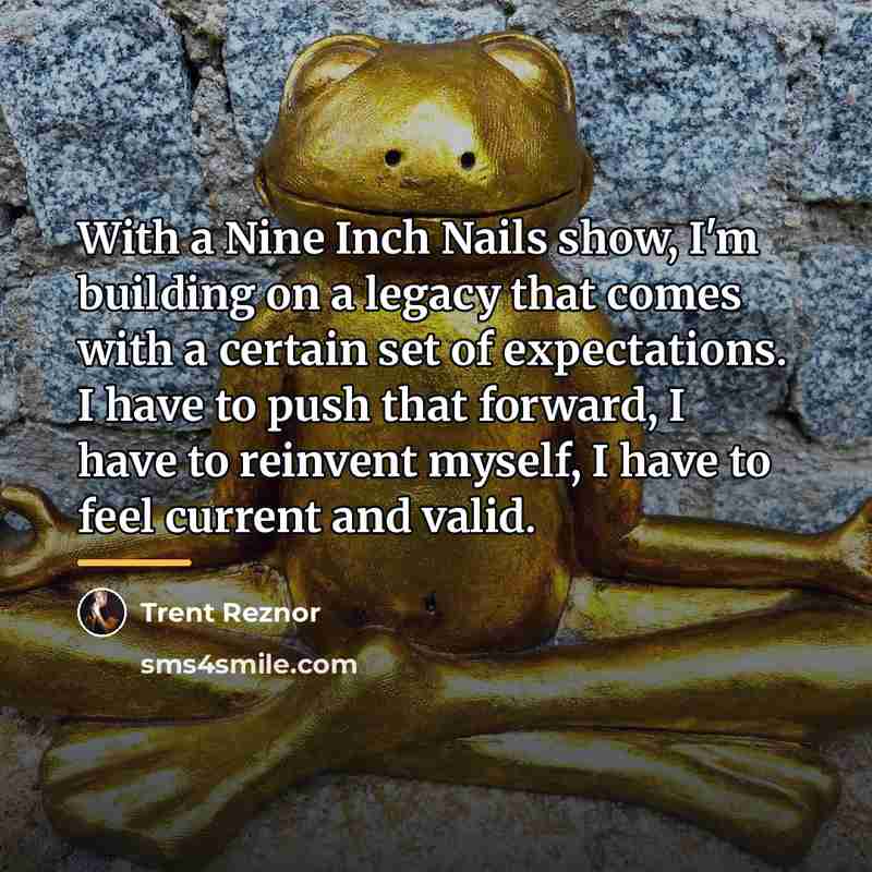 “With a Nine Inch Nails show, I'm building on a…” quote by Trent Reznor
