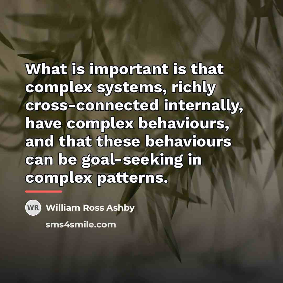“What is important is that complex systems, richly cross-connected internally,…” quote by William Ross Ashby