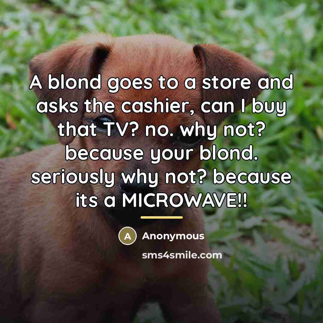 “A blond goes to a store and asks the cashier, can I buy that TV? no. why not? because your blond. seriously why not? because its a MICROWAVE!!” quote by Anonymous